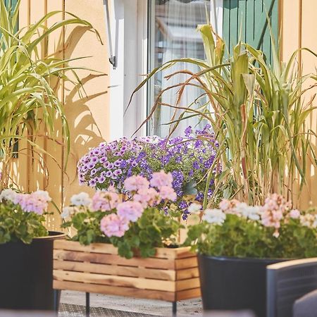 Bjoerkbackens Vandrarhem I Vimmerby Extérieur photo