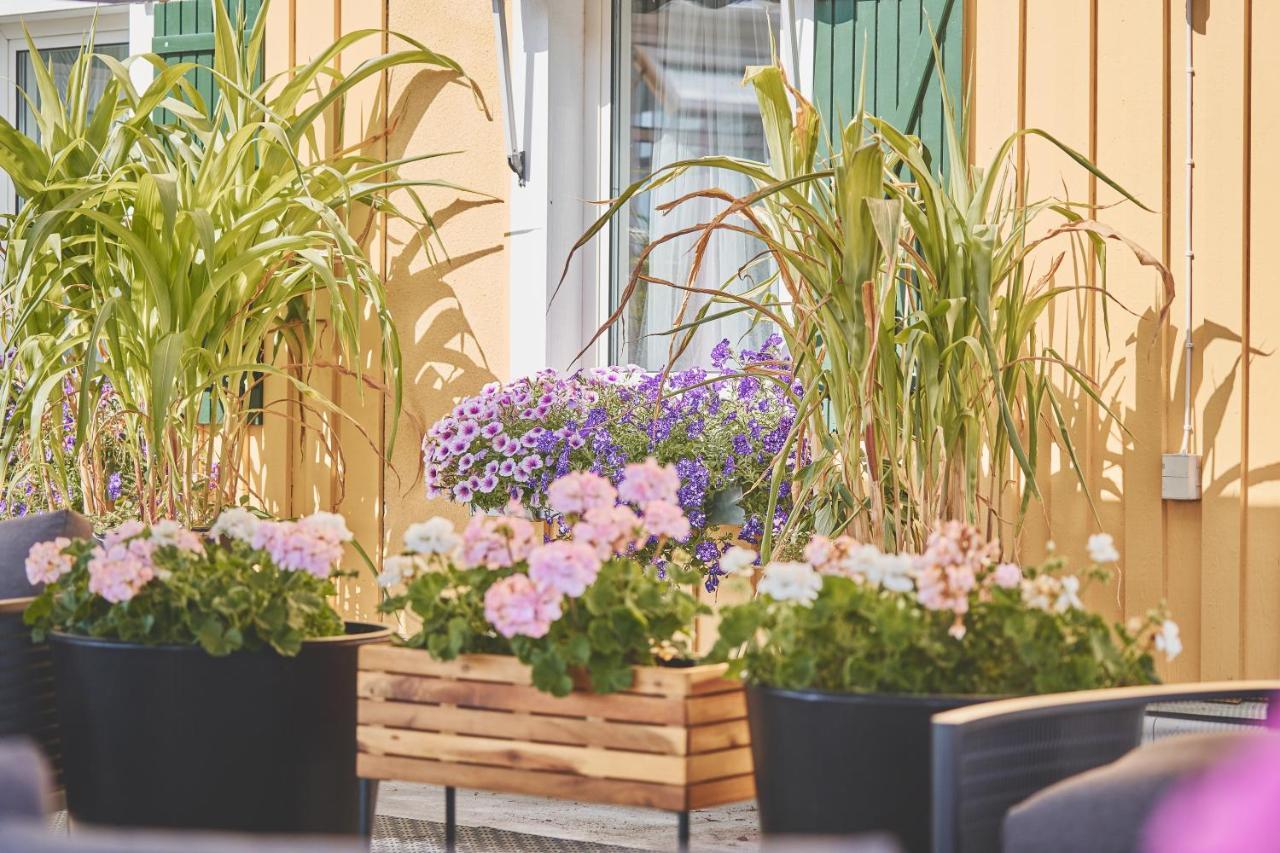 Bjoerkbackens Vandrarhem I Vimmerby Extérieur photo